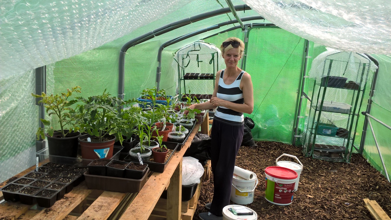 Welcome to Levenshulme Allotments!